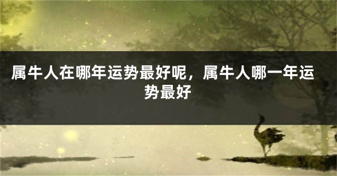 属牛人在哪年运势最好呢，属牛人哪一年运势最好