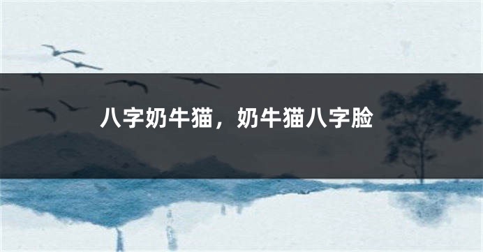 八字奶牛猫，奶牛猫八字脸