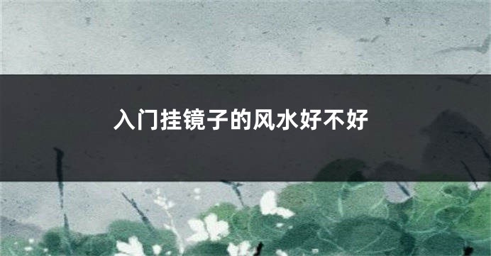 入门挂镜子的风水好不好