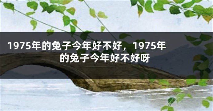 1975年的兔子今年好不好，1975年的兔子今年好不好呀