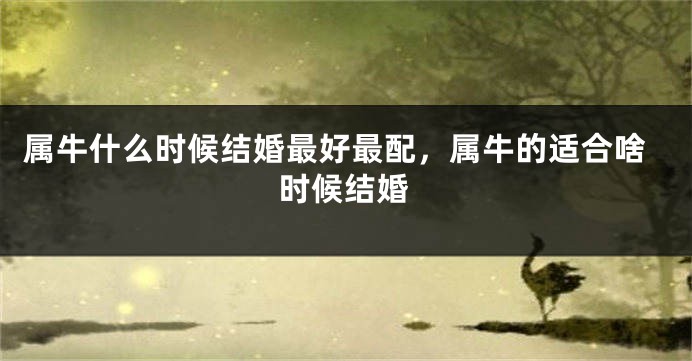 属牛什么时候结婚最好最配，属牛的适合啥时候结婚