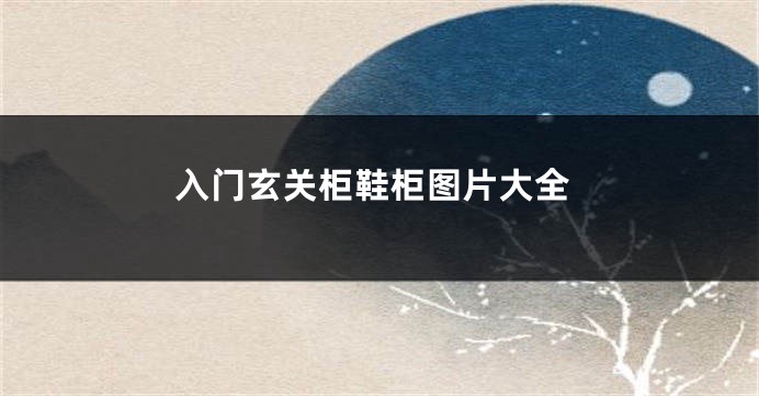 入门玄关柜鞋柜图片大全