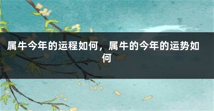 属牛今年的运程如何，属牛的今年的运势如何