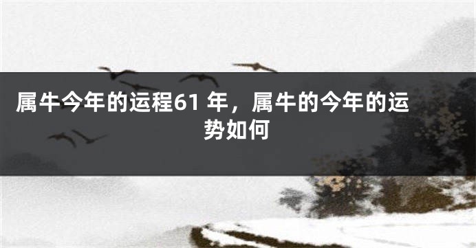 属牛今年的运程61 年，属牛的今年的运势如何