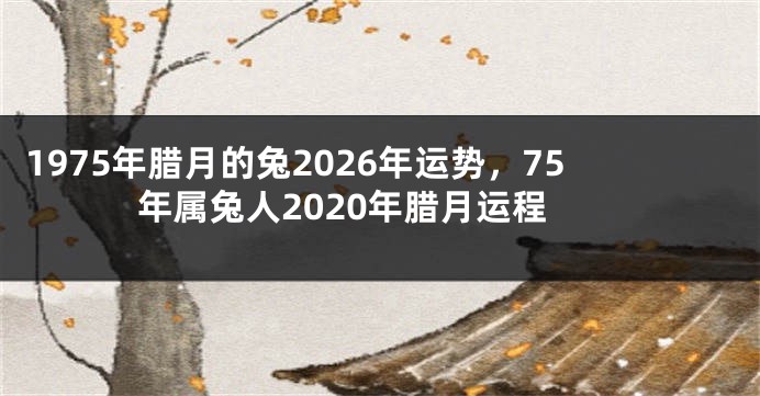 1975年腊月的兔2026年运势，75年属兔人2020年腊月运程