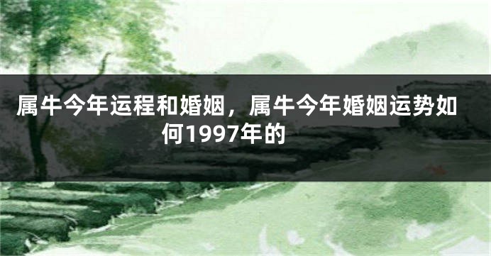 属牛今年运程和婚姻，属牛今年婚姻运势如何1997年的