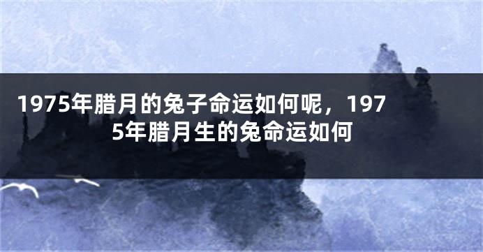 1975年腊月的兔子命运如何呢，1975年腊月生的兔命运如何