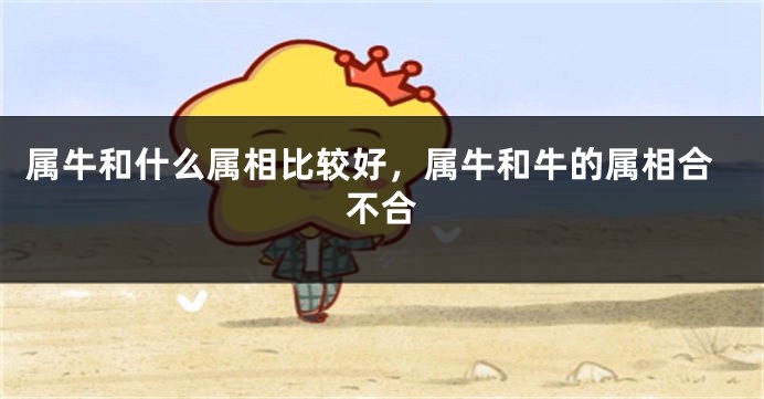 属牛和什么属相比较好，属牛和牛的属相合不合