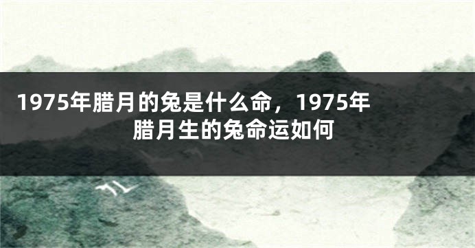 1975年腊月的兔是什么命，1975年腊月生的兔命运如何