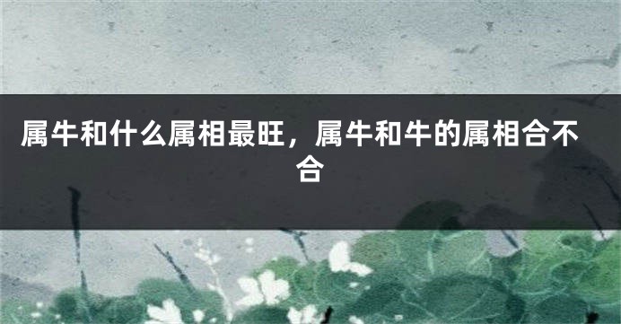 属牛和什么属相最旺，属牛和牛的属相合不合