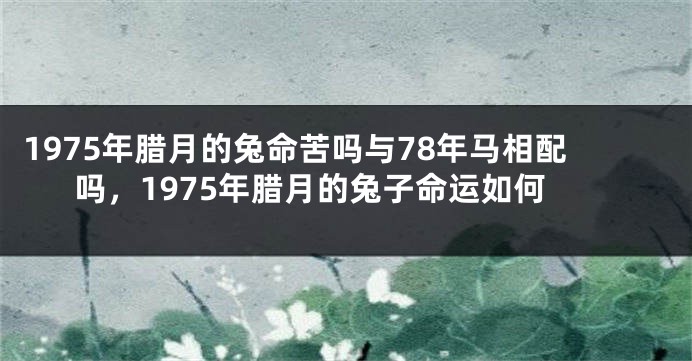 1975年腊月的兔命苦吗与78年马相配吗，1975年腊月的兔子命运如何