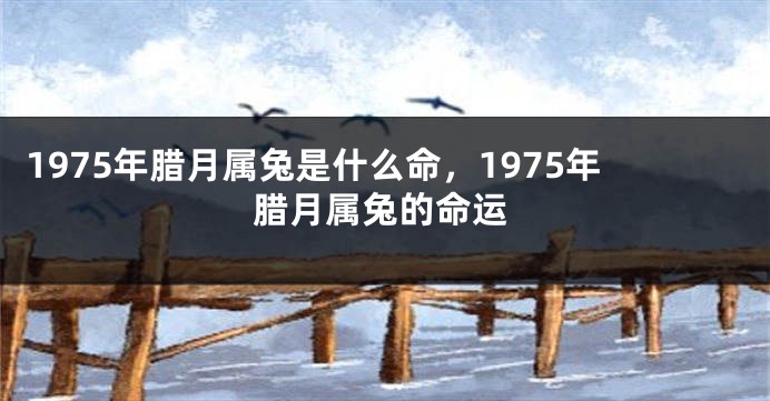 1975年腊月属兔是什么命，1975年腊月属兔的命运