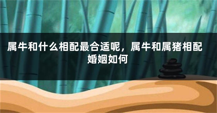 属牛和什么相配最合适呢，属牛和属猪相配婚姻如何