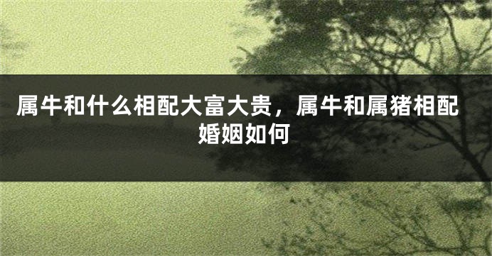 属牛和什么相配大富大贵，属牛和属猪相配婚姻如何