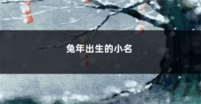 兔年出生的小名