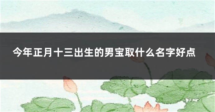 今年正月十三出生的男宝取什么名字好点
