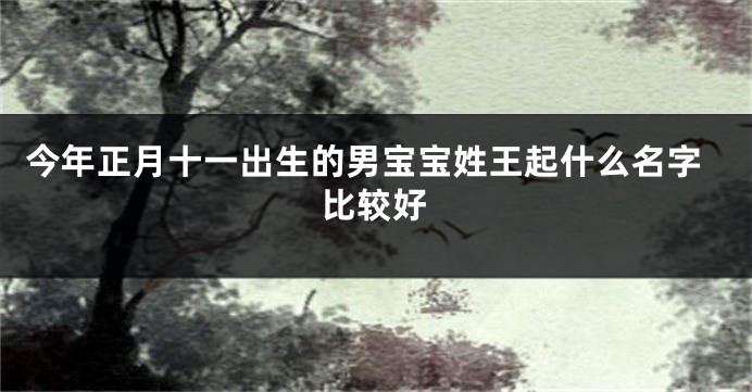 今年正月十一出生的男宝宝姓王起什么名字比较好