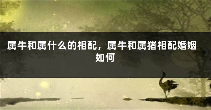 属牛和属什么的相配，属牛和属猪相配婚姻如何