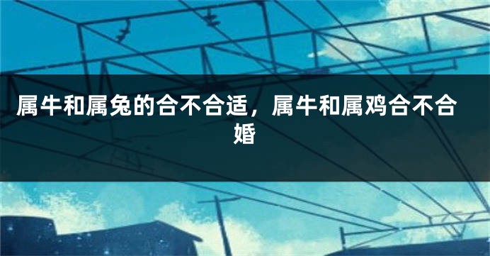 属牛和属兔的合不合适，属牛和属鸡合不合婚