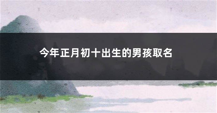 今年正月初十出生的男孩取名
