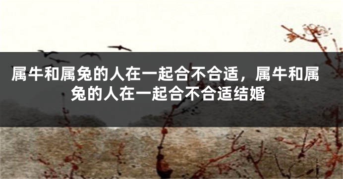 属牛和属兔的人在一起合不合适，属牛和属兔的人在一起合不合适结婚