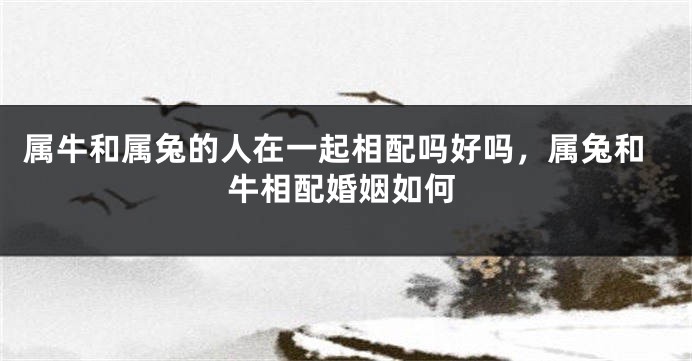 属牛和属兔的人在一起相配吗好吗，属兔和牛相配婚姻如何