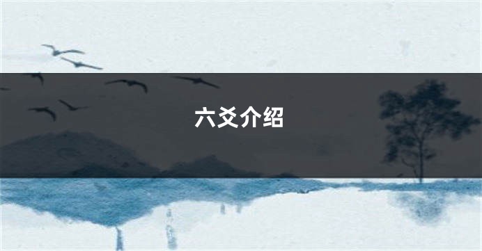 六爻介绍