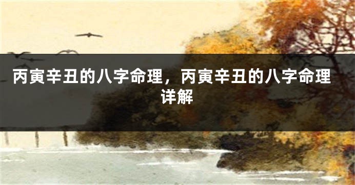 丙寅辛丑的八字命理，丙寅辛丑的八字命理详解