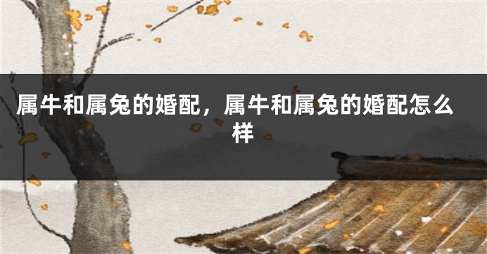 属牛和属兔的婚配，属牛和属兔的婚配怎么样