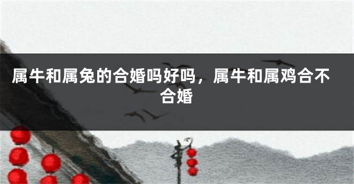 属牛和属兔的合婚吗好吗，属牛和属鸡合不合婚