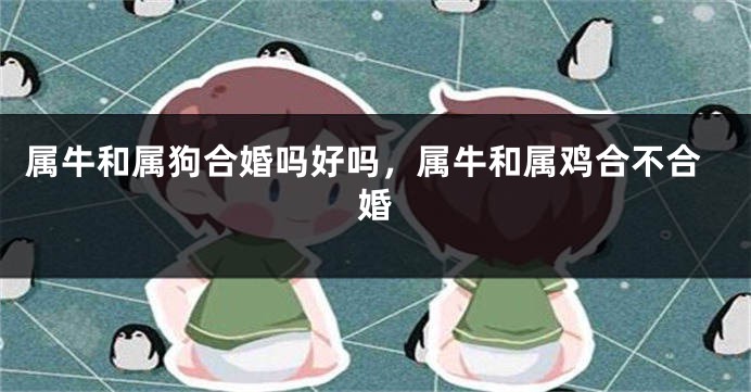 属牛和属狗合婚吗好吗，属牛和属鸡合不合婚