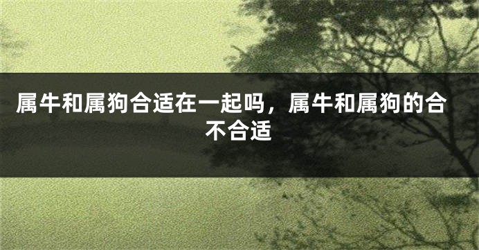 属牛和属狗合适在一起吗，属牛和属狗的合不合适