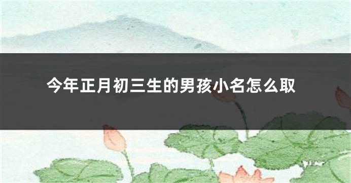 今年正月初三生的男孩小名怎么取
