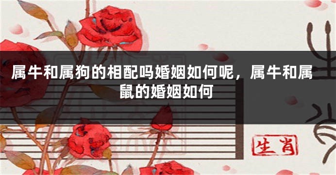属牛和属狗的相配吗婚姻如何呢，属牛和属鼠的婚姻如何