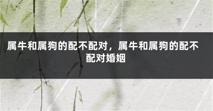 属牛和属狗的配不配对，属牛和属狗的配不配对婚姻