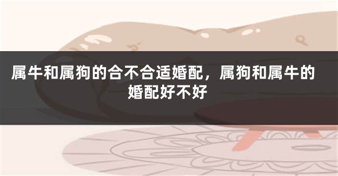 属牛和属狗的合不合适婚配，属狗和属牛的婚配好不好
