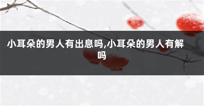 小耳朵的男人有出息吗,小耳朵的男人有解吗