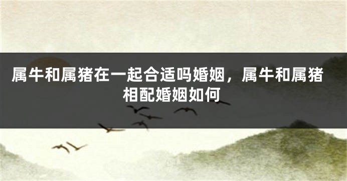属牛和属猪在一起合适吗婚姻，属牛和属猪相配婚姻如何
