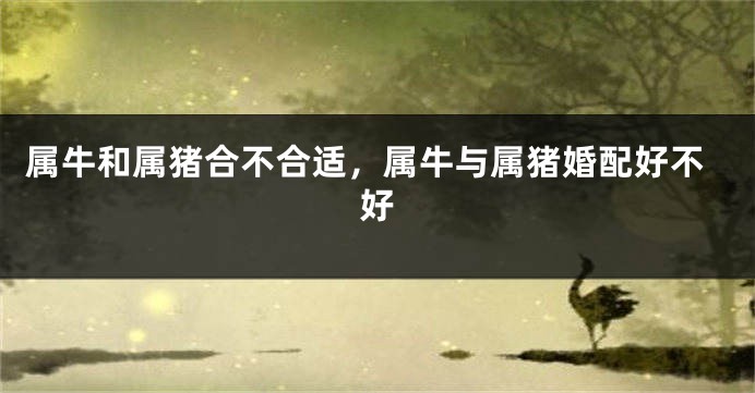 属牛和属猪合不合适，属牛与属猪婚配好不好