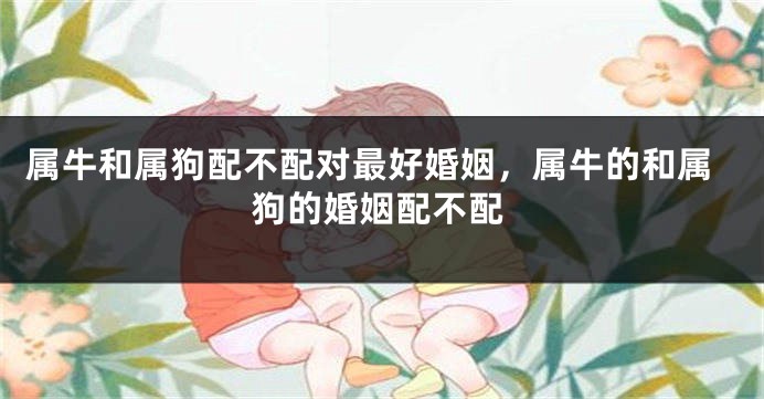 属牛和属狗配不配对最好婚姻，属牛的和属狗的婚姻配不配