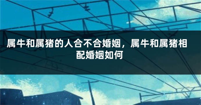 属牛和属猪的人合不合婚姻，属牛和属猪相配婚姻如何