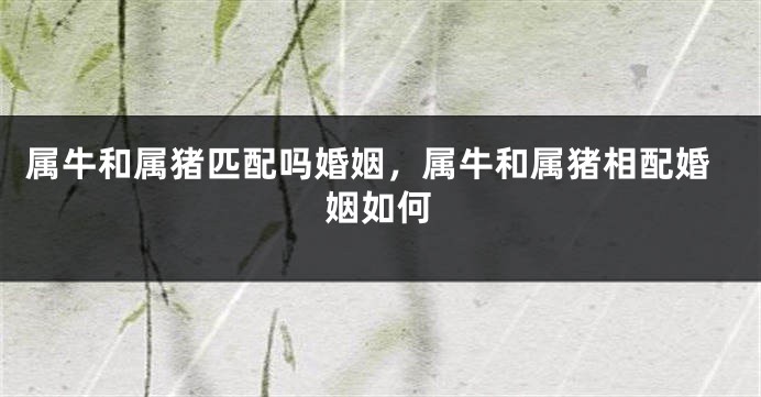 属牛和属猪匹配吗婚姻，属牛和属猪相配婚姻如何