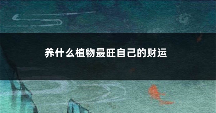 养什么植物最旺自己的财运