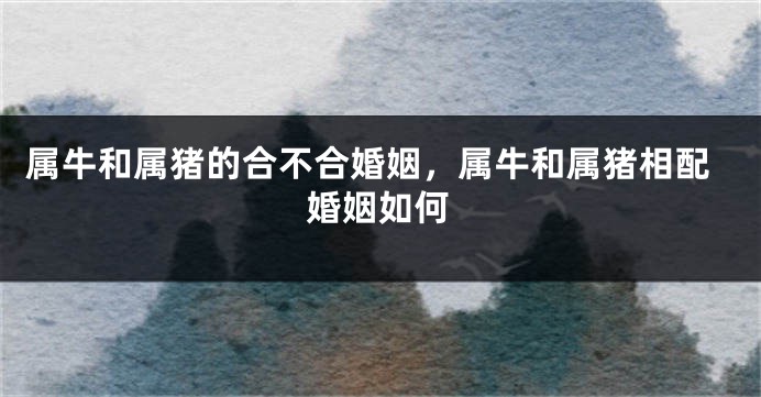 属牛和属猪的合不合婚姻，属牛和属猪相配婚姻如何