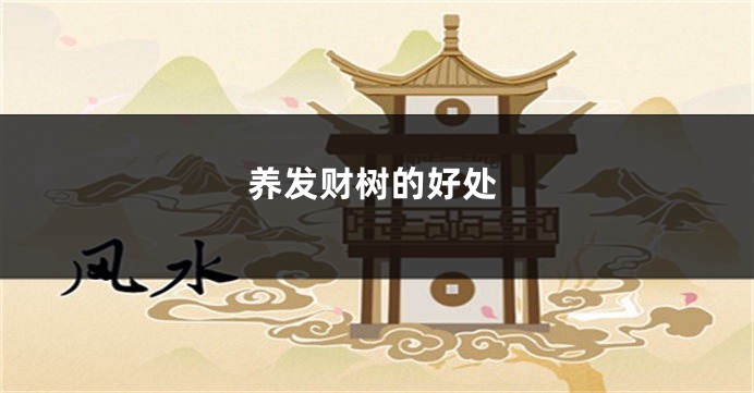 养发财树的好处