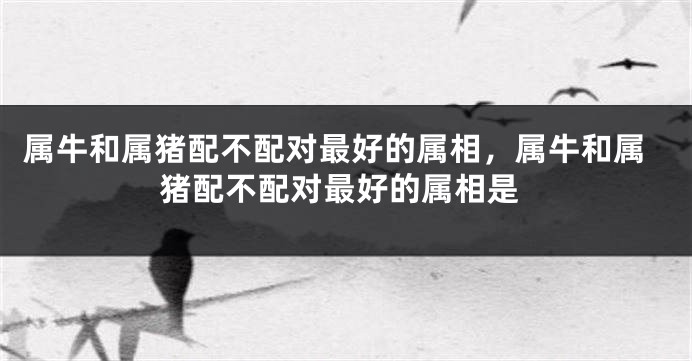 属牛和属猪配不配对最好的属相，属牛和属猪配不配对最好的属相是
