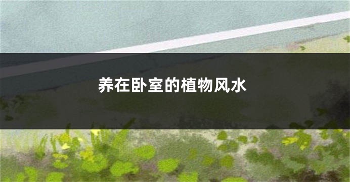 养在卧室的植物风水
