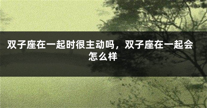 双子座在一起时很主动吗，双子座在一起会怎么样