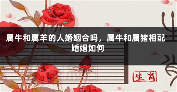 属牛和属羊的人婚姻合吗，属牛和属猪相配婚姻如何