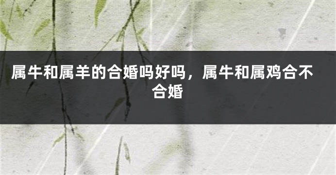 属牛和属羊的合婚吗好吗，属牛和属鸡合不合婚